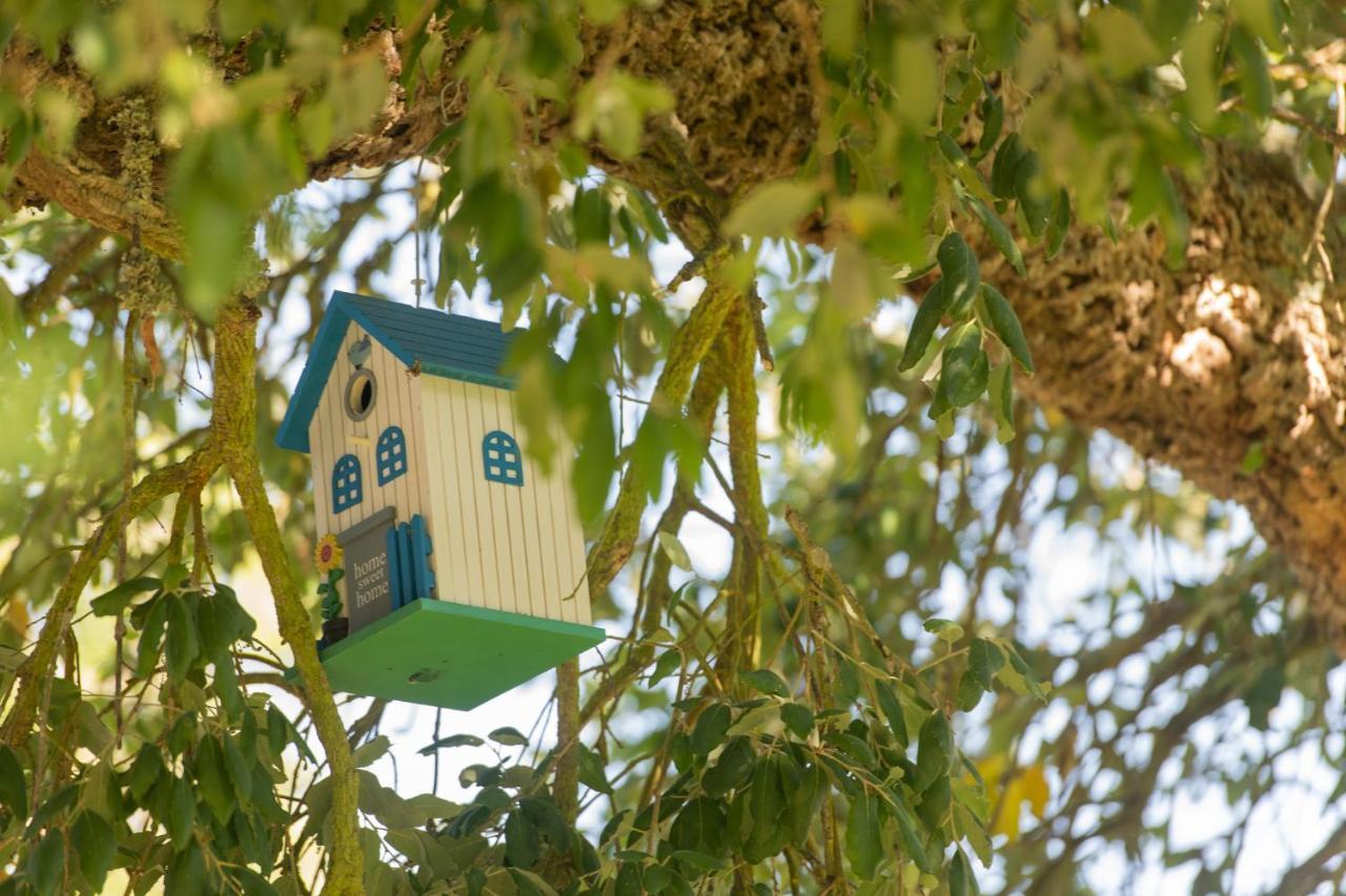Mystay - Herdade Do Vale Da Abelheira Grândola Exterior foto